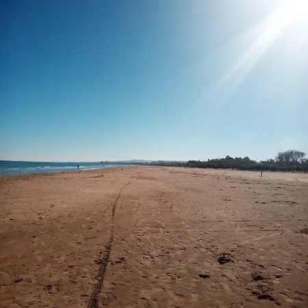 Mare