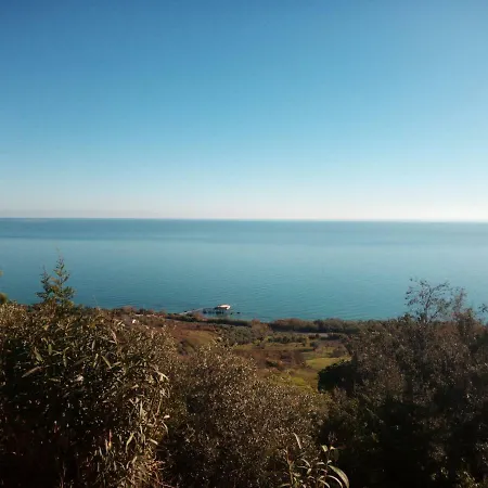 Mare *